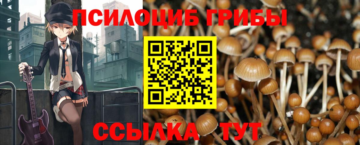 Донецк  Галлюциногенные грибы Psilocybe  Вход с VPN  Галлюциногенные грибы мицелий 